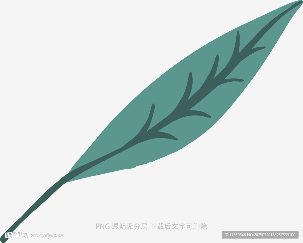 简约绿叶插画