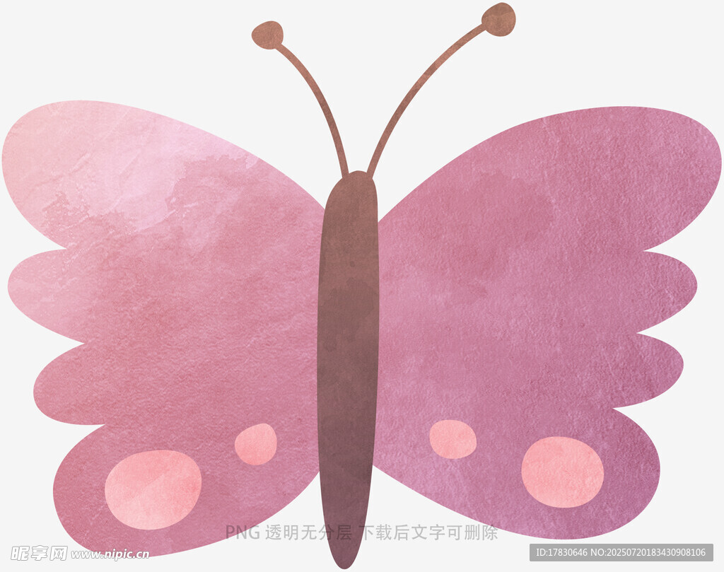 粉色蝴蝶插画