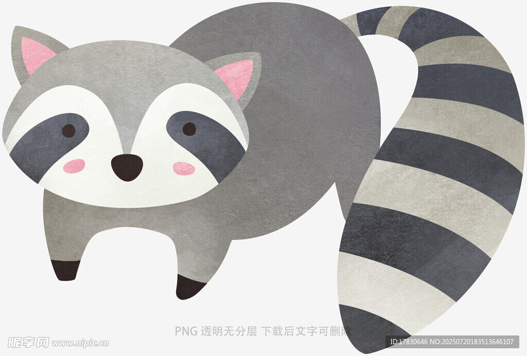 可爱浣熊插画