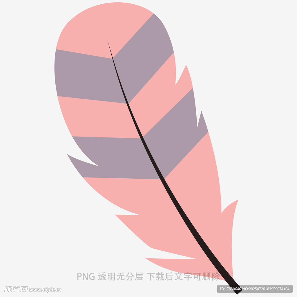 粉色条纹羽毛插画