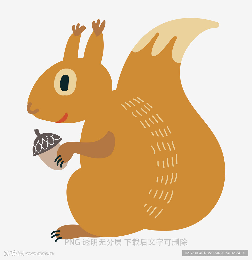 可爱松鼠抱坚果插画