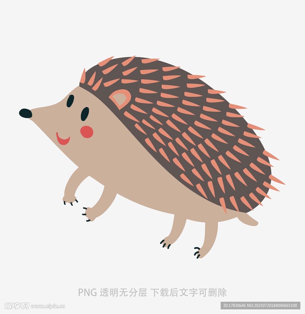 可爱刺猬插画
