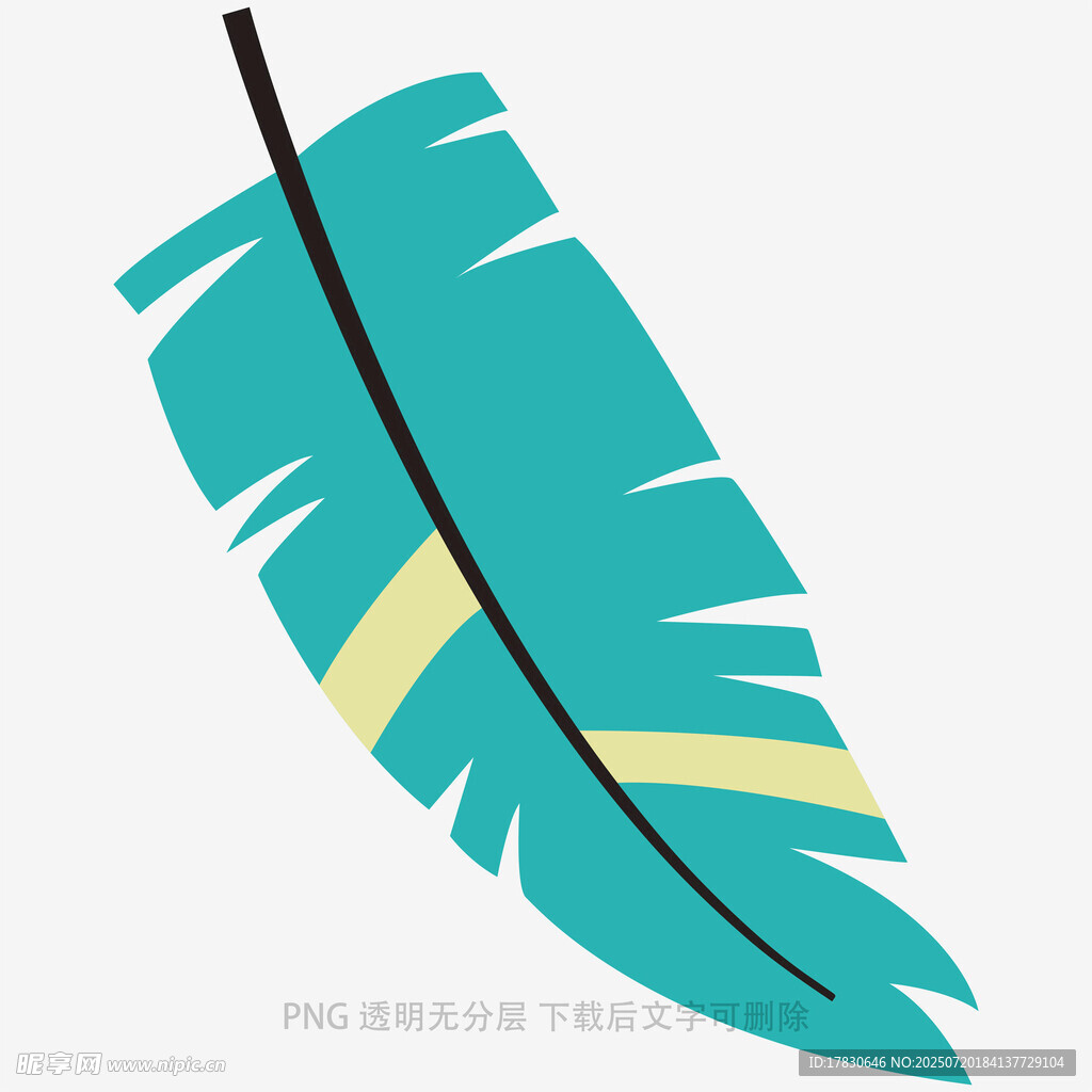 蓝绿相间羽毛插画