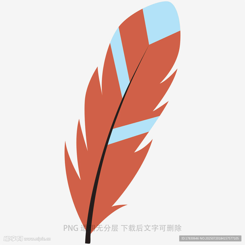 橙蓝相间羽毛插画