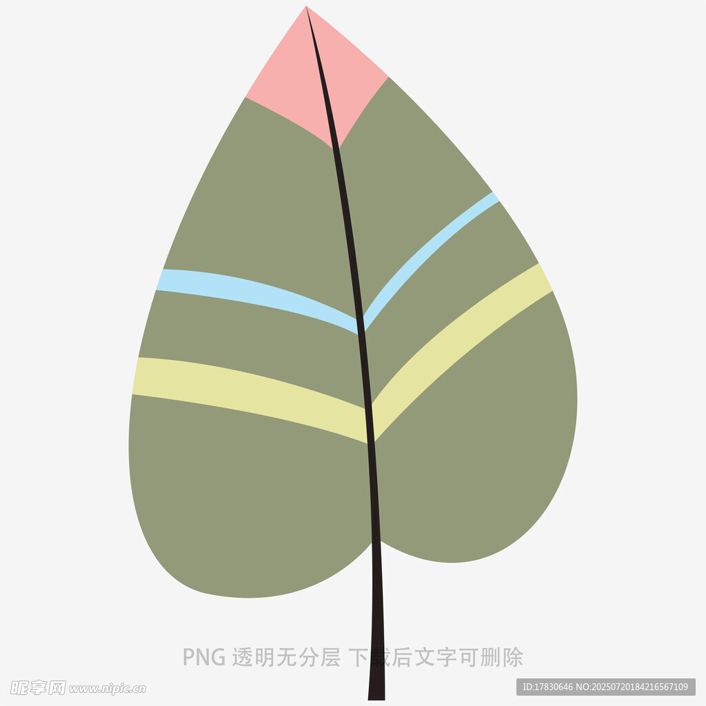 简约条纹叶片插画