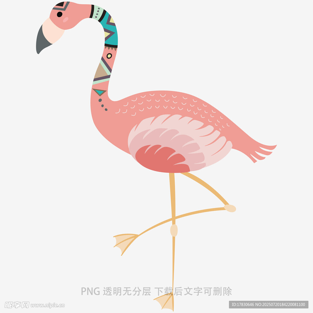 粉色火烈鸟插画