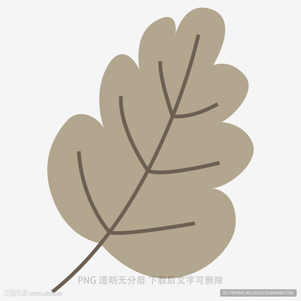 简约风格浅棕色叶片插画
