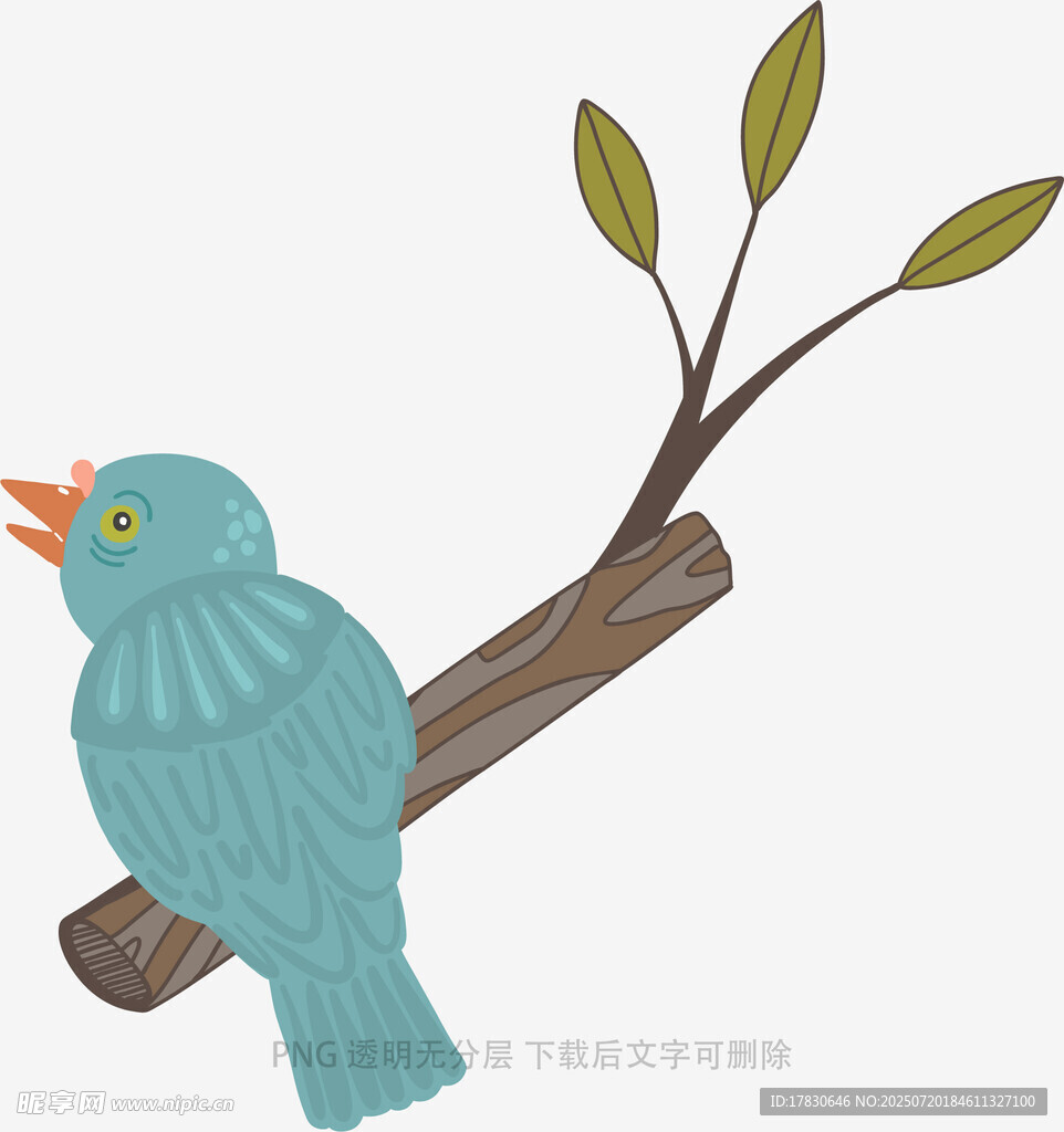 栖息枝头的蓝色小鸟