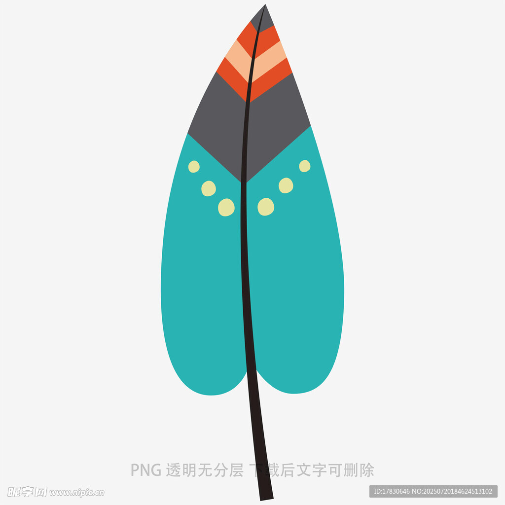 彩色羽毛插画