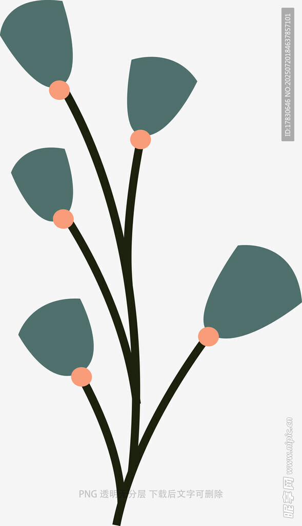 简约绿植花卉矢量插画