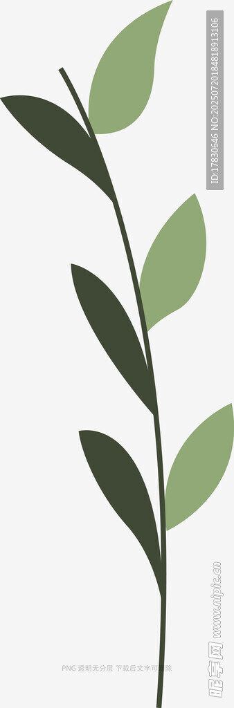 简约绿叶植物插画