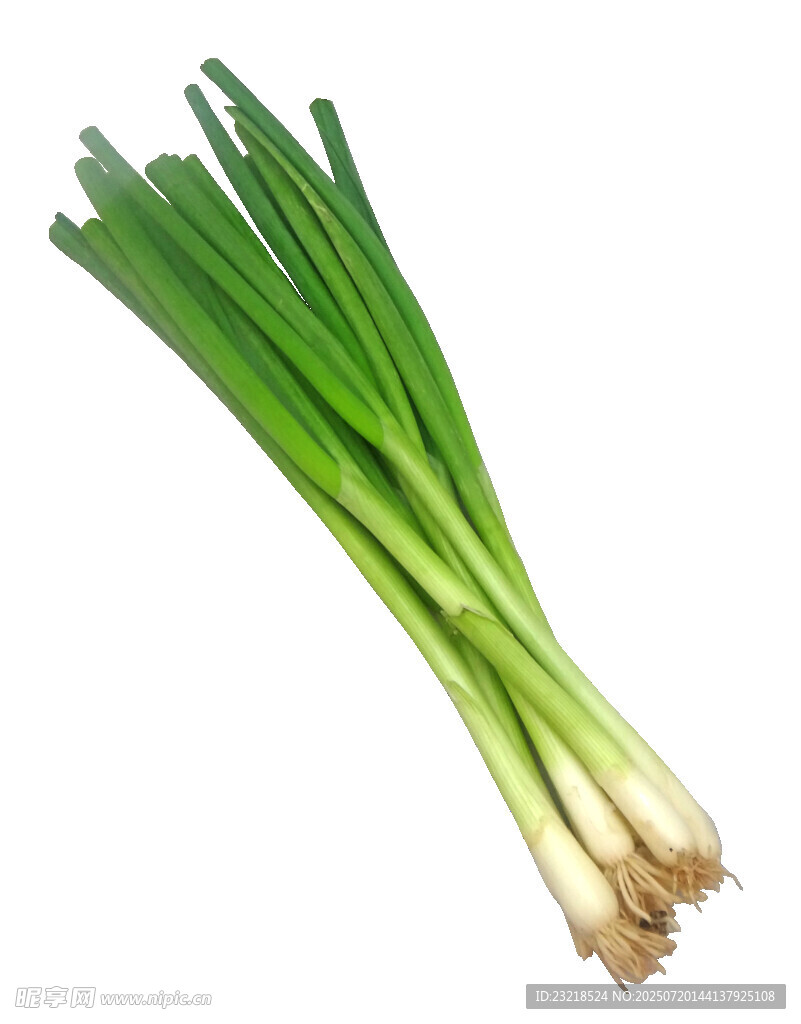 小葱