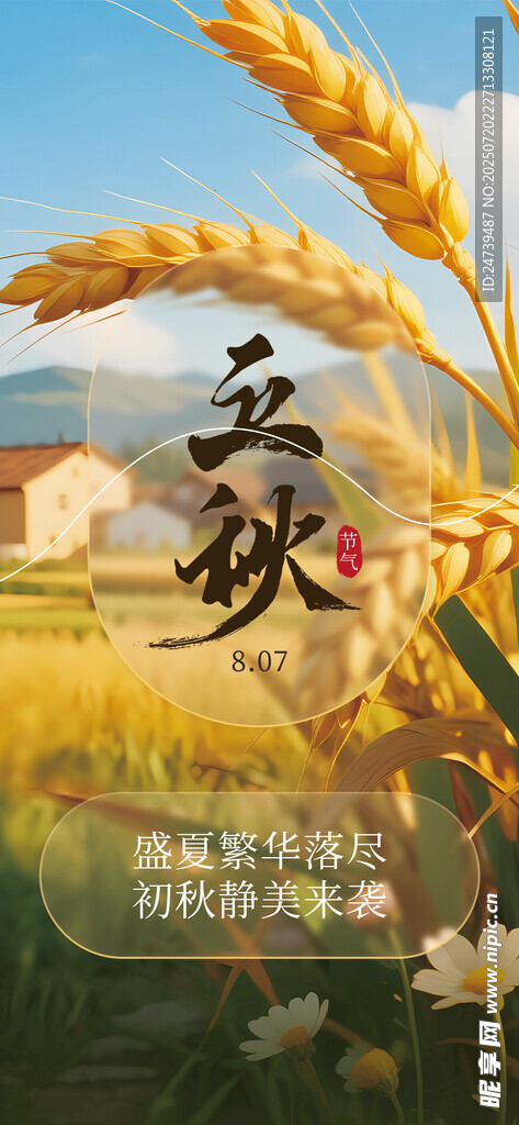 立秋海报