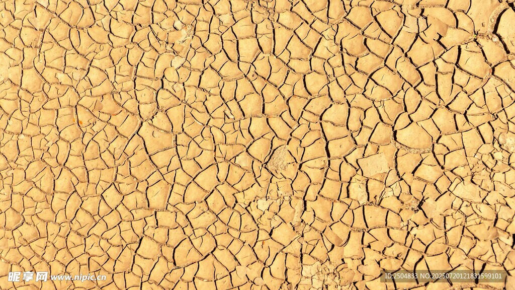 干裂的大地纹理