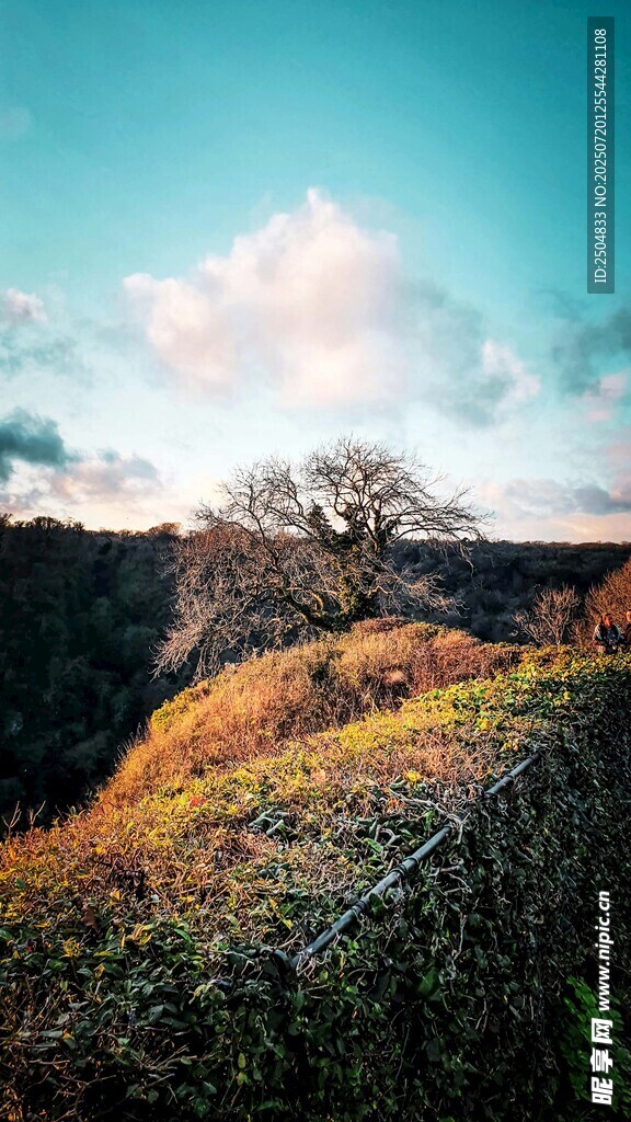 山间美景 阳光洒落草地