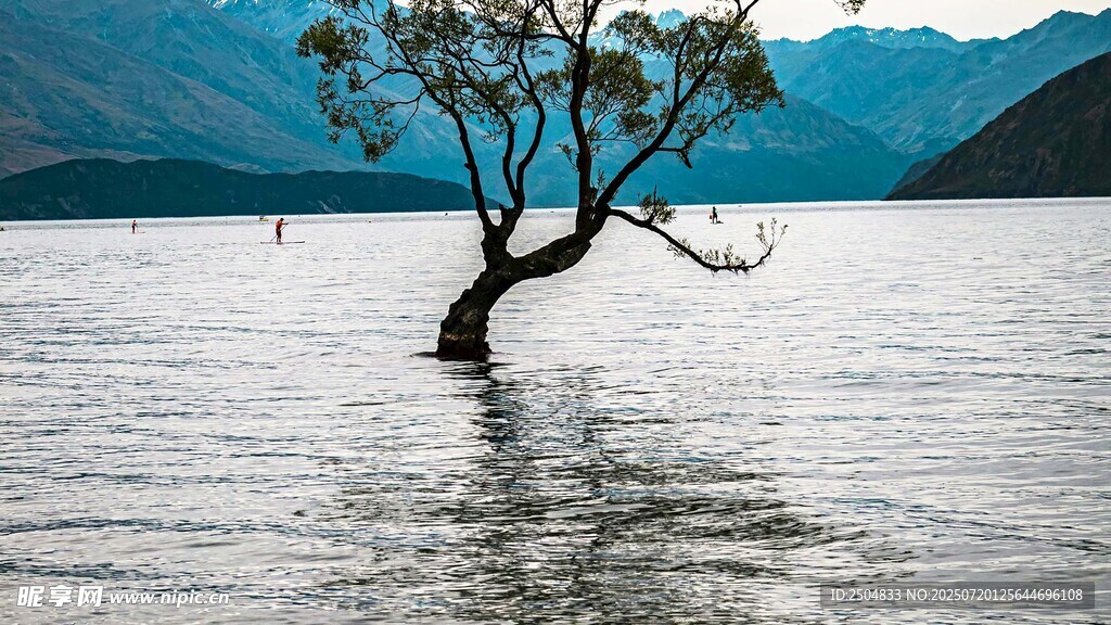 水中孤树 山水间的独特景致