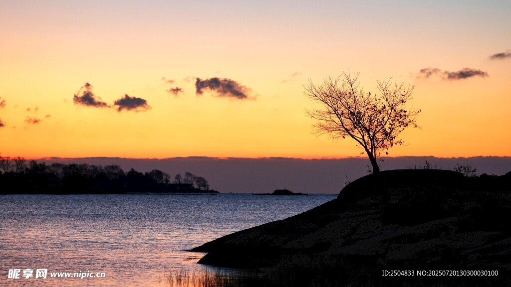 夕阳下的孤树与宁静湖水