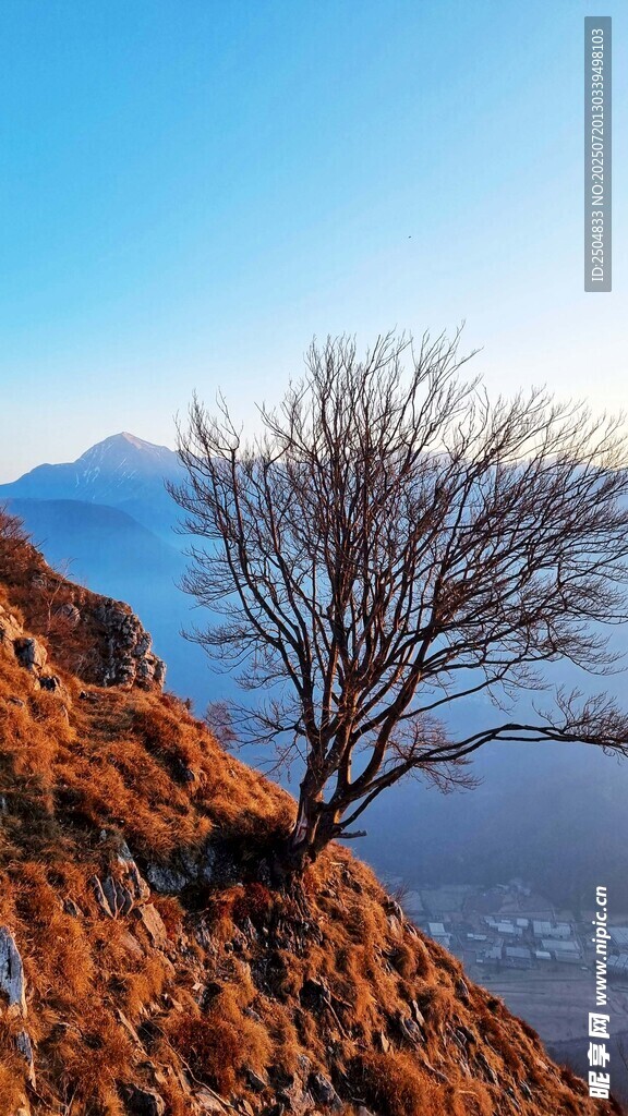 山巅枯树与远方山水景致