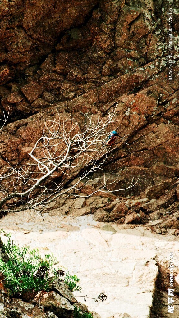 山间湍急溪流与嶙峋岩石