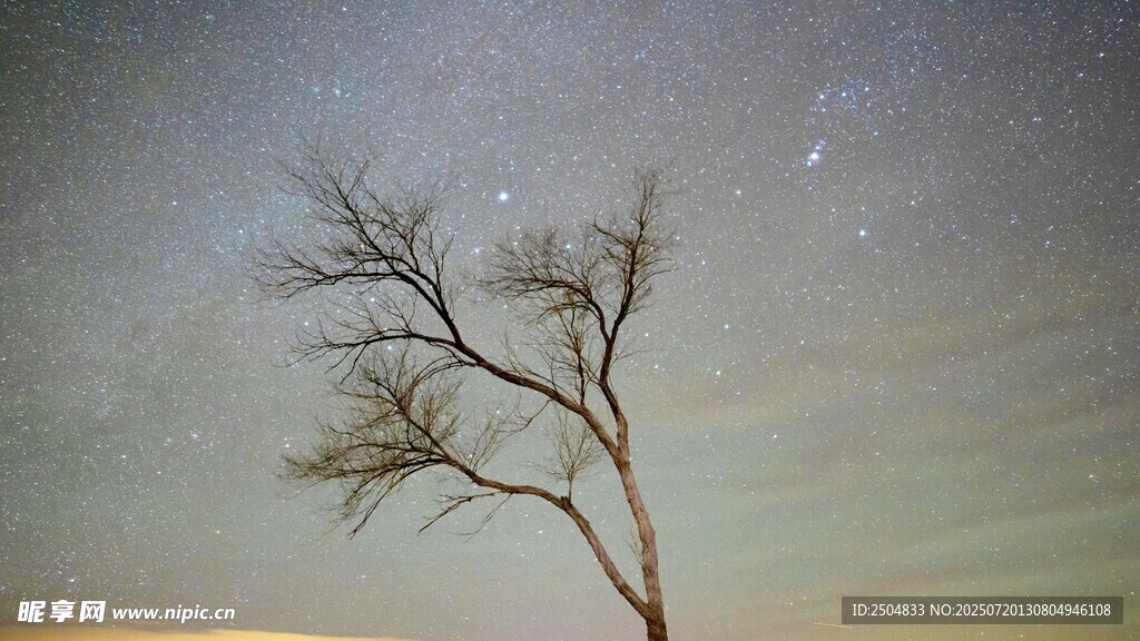 孤树映星空