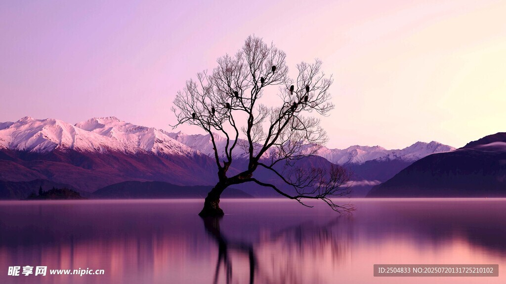 孤独之树映于静谧湖景