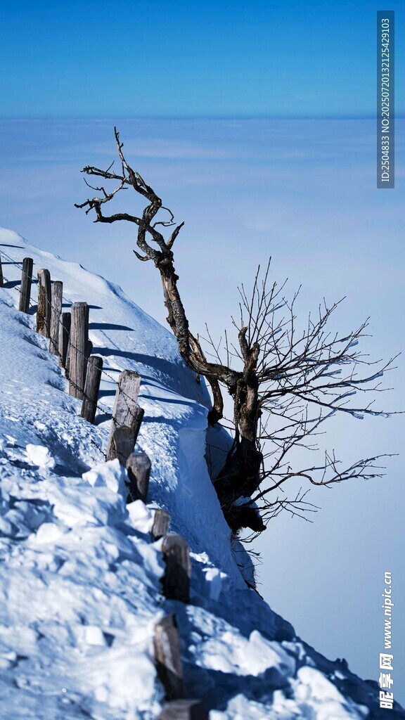 雪岭孤树旁的木栏风景
