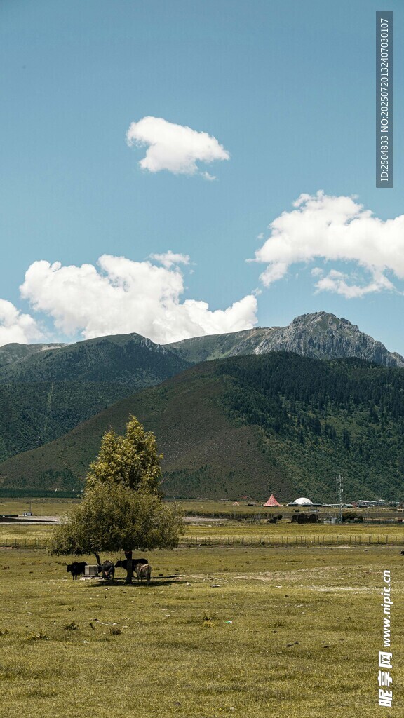草原风光 远山近树
