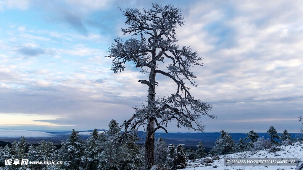 雪野孤树 天际云景