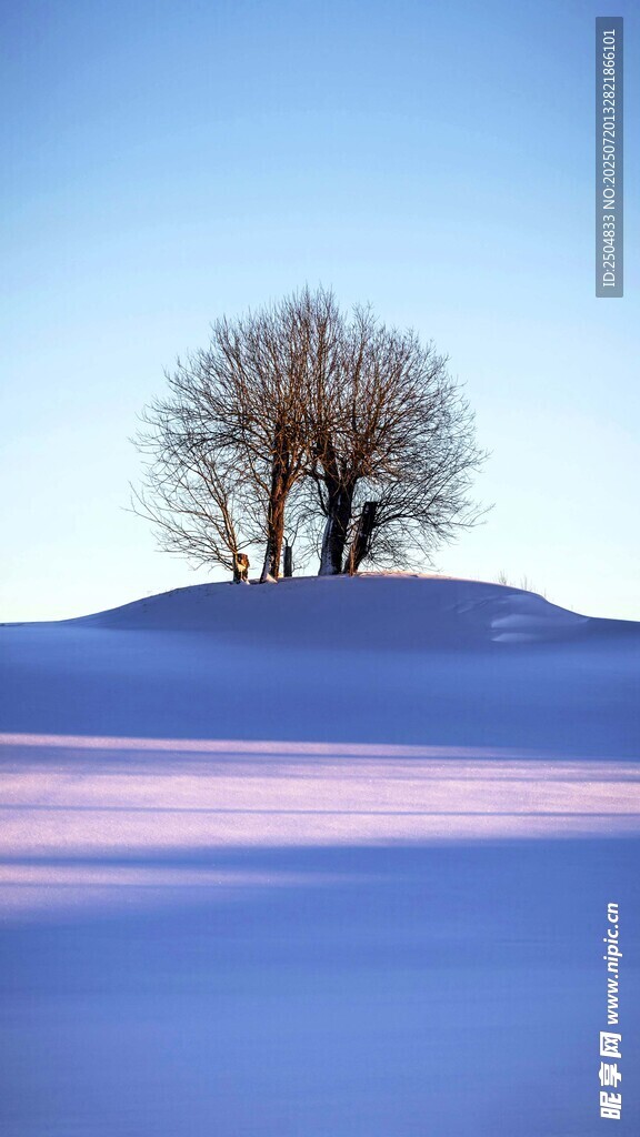 雪坡孤树的静谧冬日景
