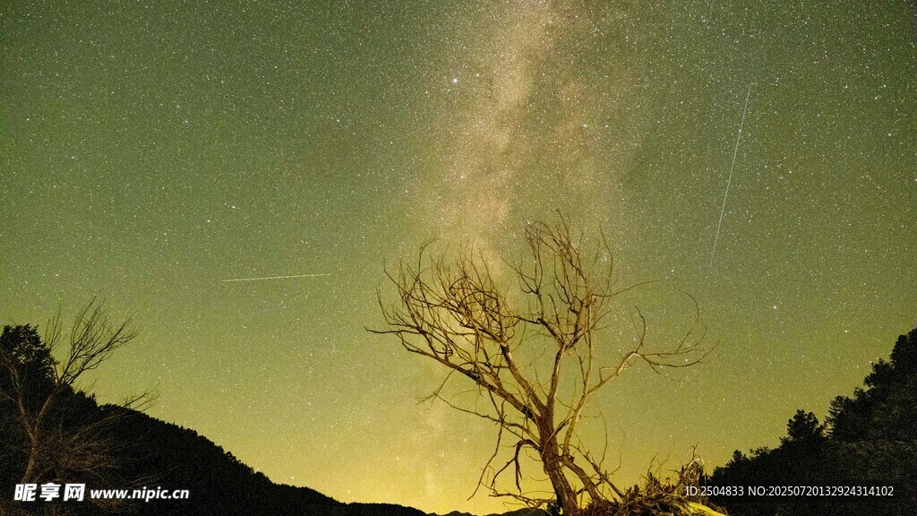 夜空下的孤树与璀璨星河