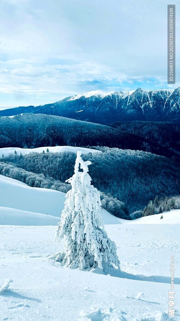 雪覆孤树的冬日山景