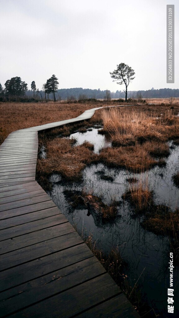 湿地木栈道风景
