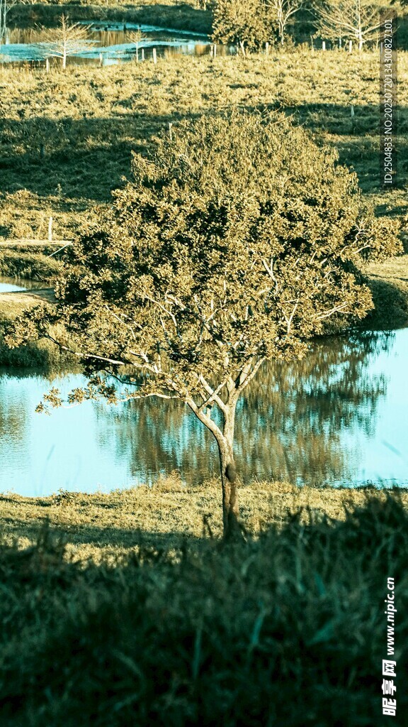 乡村河畔美景
