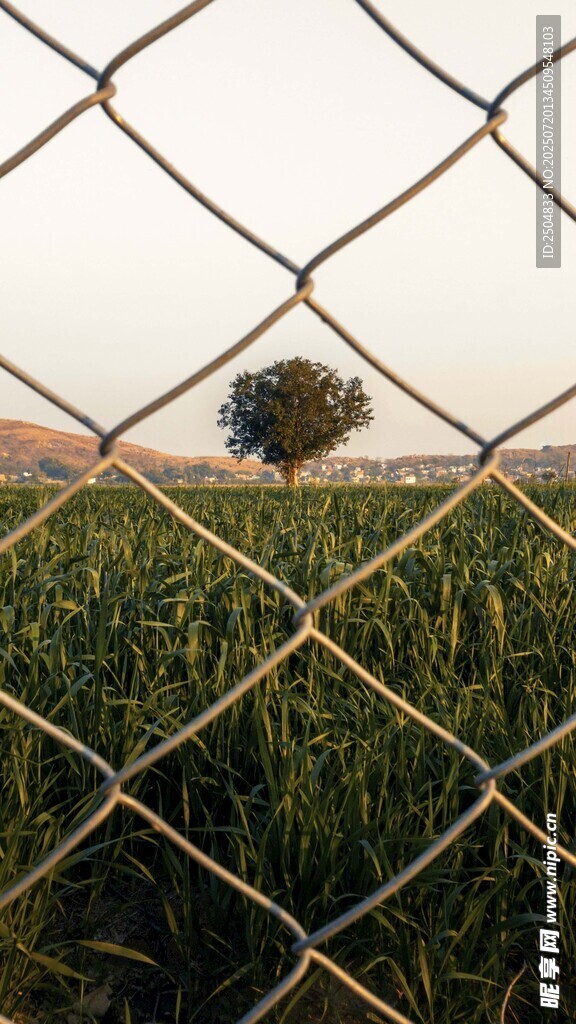透过围栏看葱郁田野