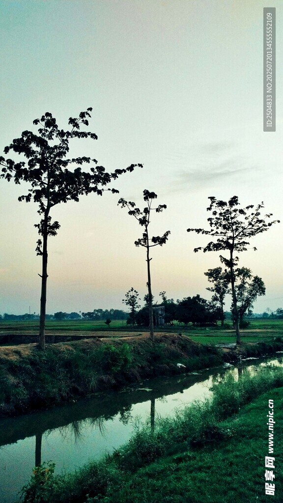 乡村河畔绿树风景图