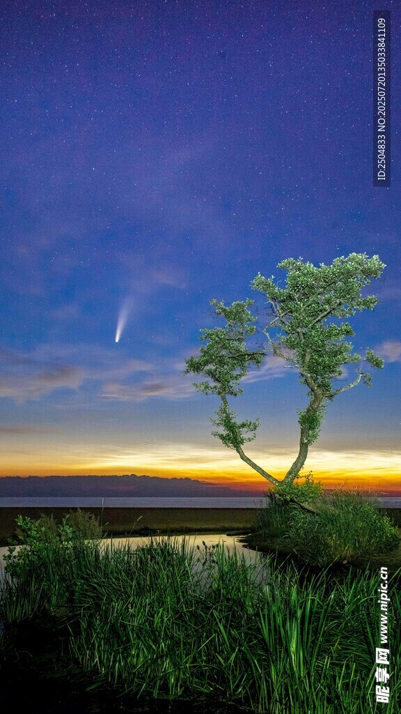 孤树映晚霞的静谧美景