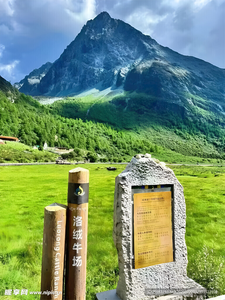 山间牧场