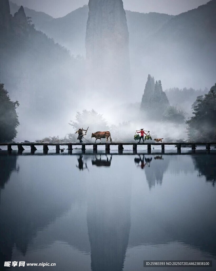 浮桥行人