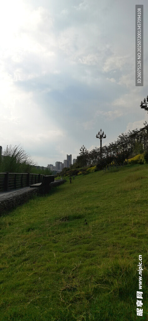 绿草如茵的户外风景