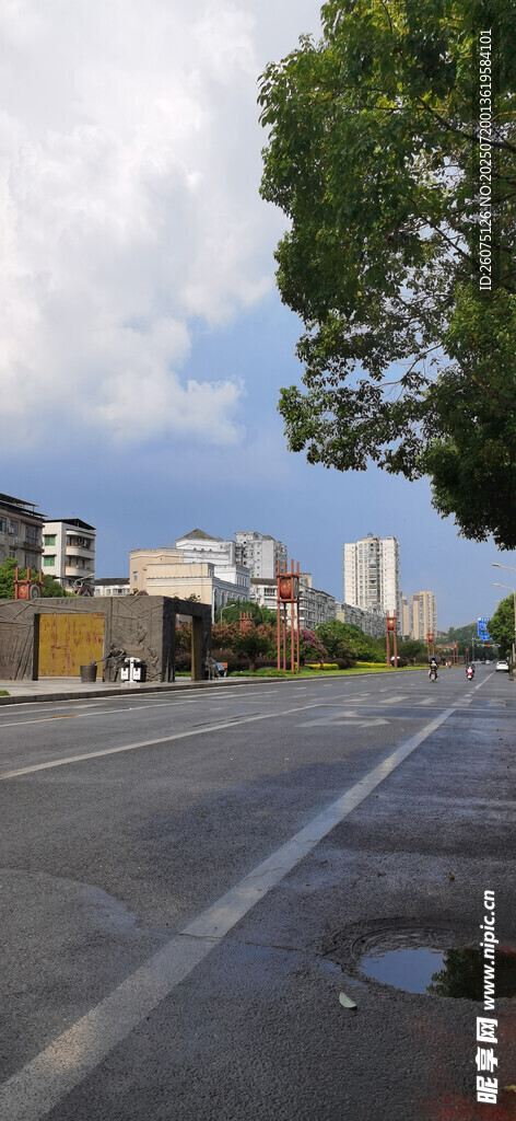 城市道路旁的绿树与建筑