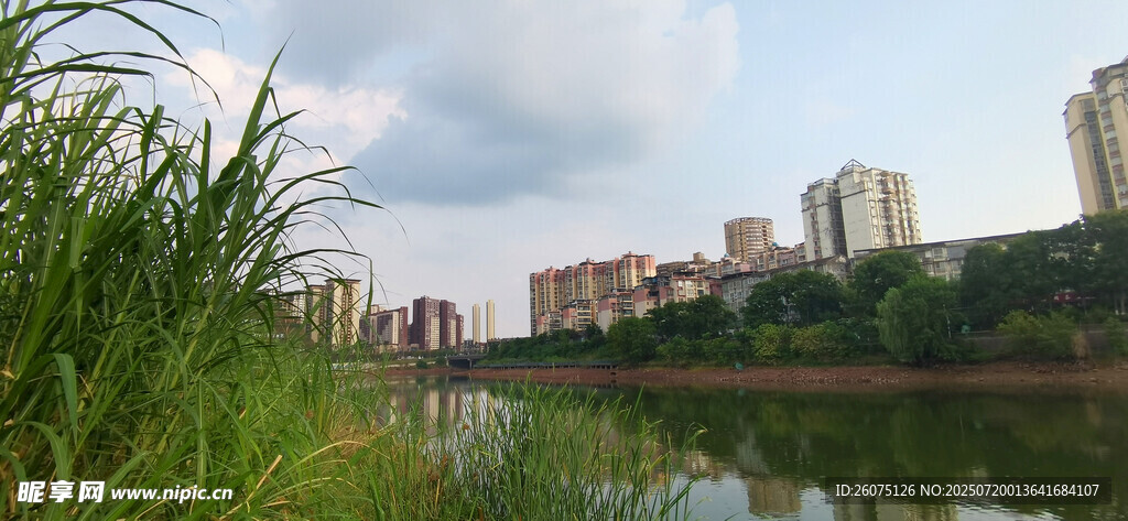 河畔绿草与远处城市景观