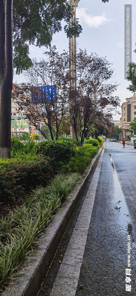 雨后城市中的湿润道路