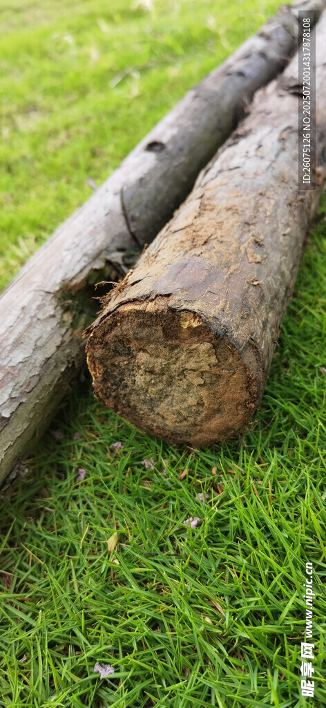 草地上的几根圆木
