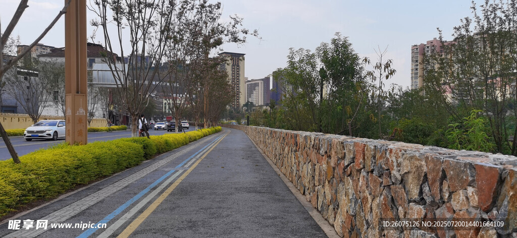 城市中宁静的石砌道路景观