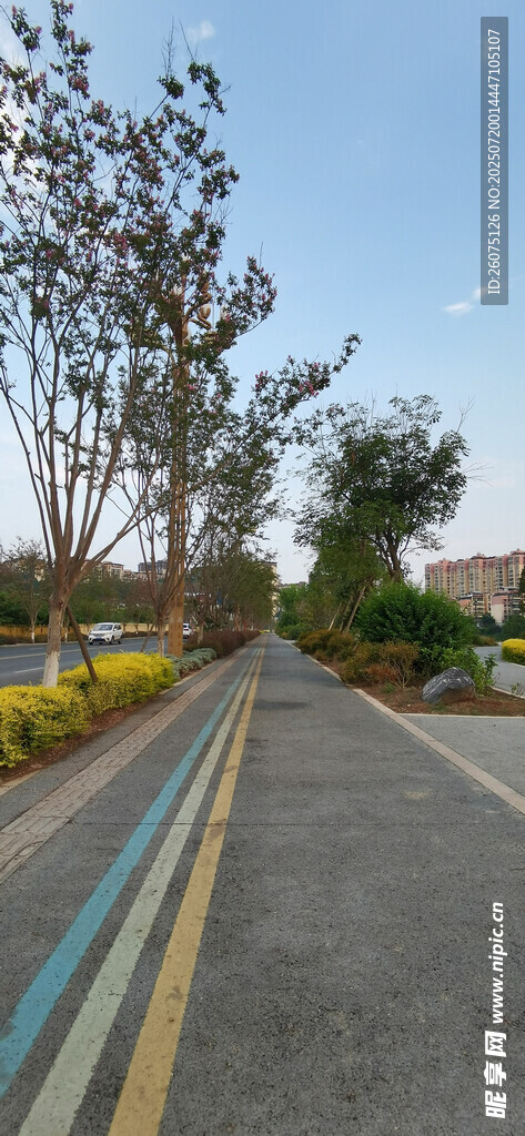 宽阔整洁的户外道路场景