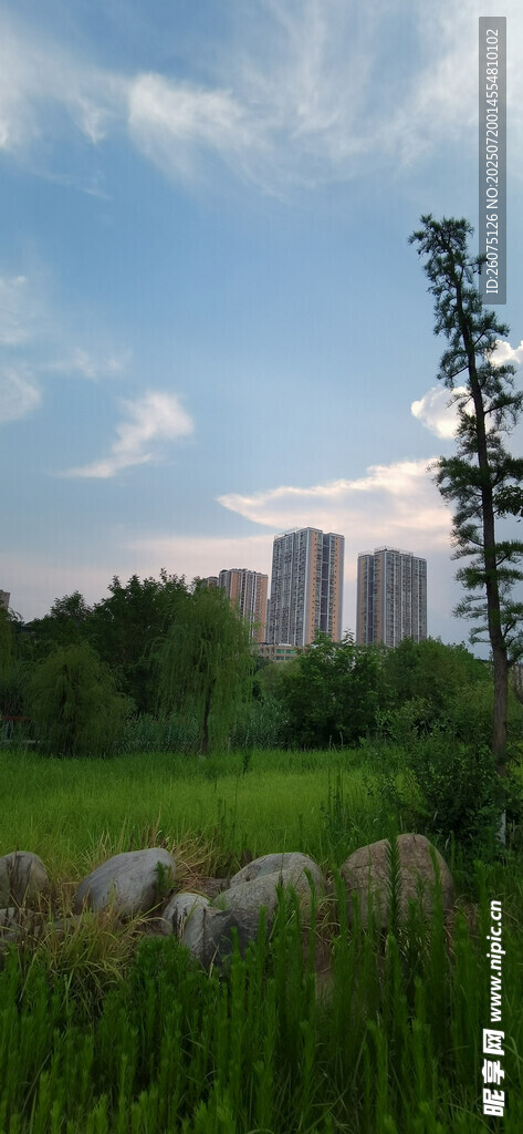郊外草地与远处高楼风景