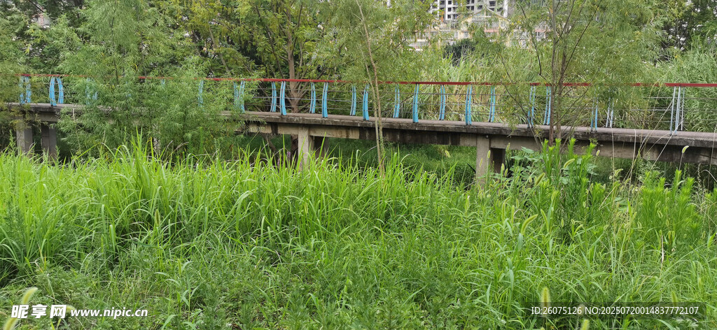林间木栈道