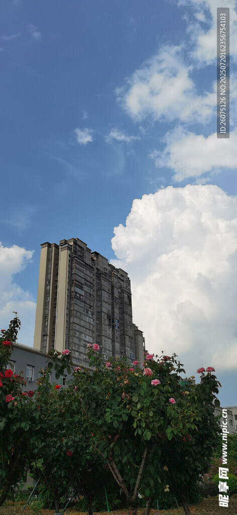 蓝天白云下的城市建筑