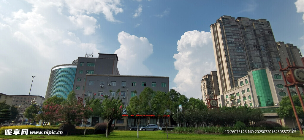 城市风光中的高楼与绿植