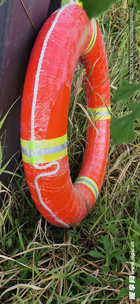 草地上的橙色救生圈